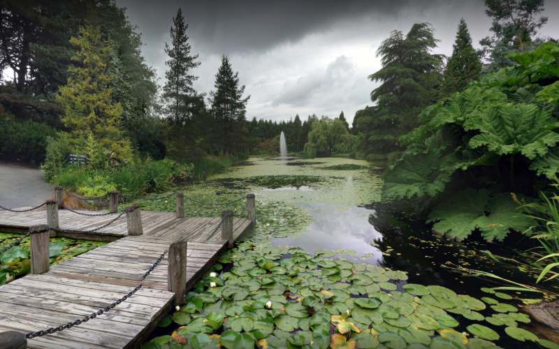VanDusen Botanical Gardens Outdoor Gardens in Canada